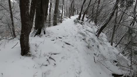 Ein-Spaziergang-Auf-Einem-Steilen,-Verschneiten-Pfad-In-Einem-Dichten-Wald