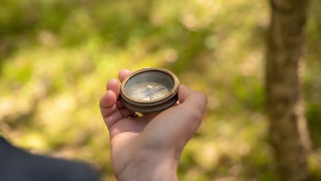 traveler hand holds a compass in forest