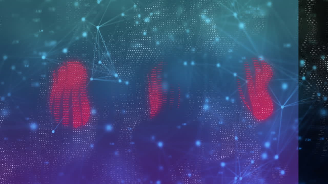 animación de la red de conexiones y procesamiento de datos