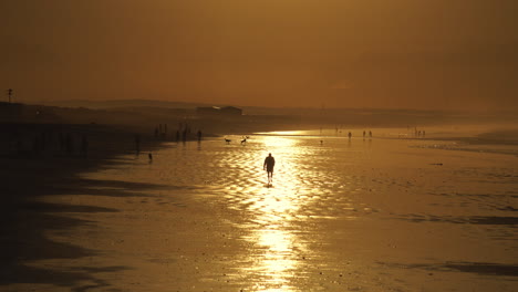 Hombre-Caminando-Hacia-La-Cámara-En-Una-Playa-Dorada-Y-Concurrida---Plano-Amplio-Retroiluminado