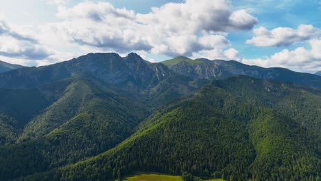 Panoramic-view-Green-trees-in-the-mountains-look-amazing-in-the-middle-of-summer