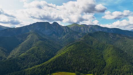 panoramic view green trees in the mountains look amazing in the middle of summer