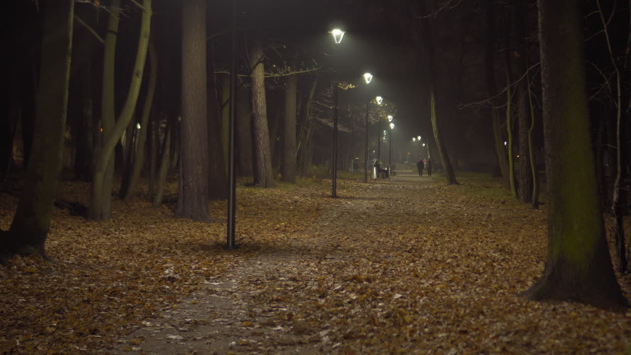 avenida espeluznante del árbol en la noche