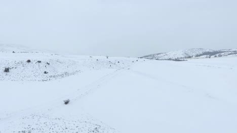 aerial - small plants scatter the snow covered valley