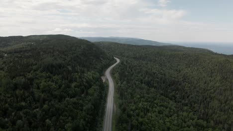 sobrevolando los frondosos árboles verdes en el bosque que rodea la carretera de montaña en quebec, canadá