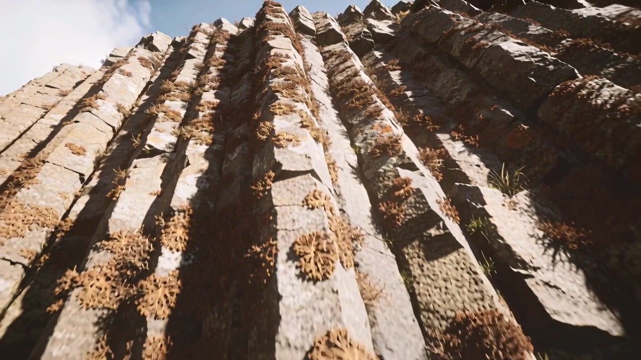 Telecamera che si inclina verso l'alto, riprendendo una parete rocciosa colonnare che rivela la cima della scogliera e piante a ciuffi