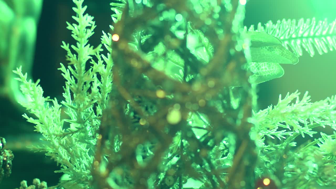 실내 공간의 조명이 켜진 크리스마스 장식을 닫습니다