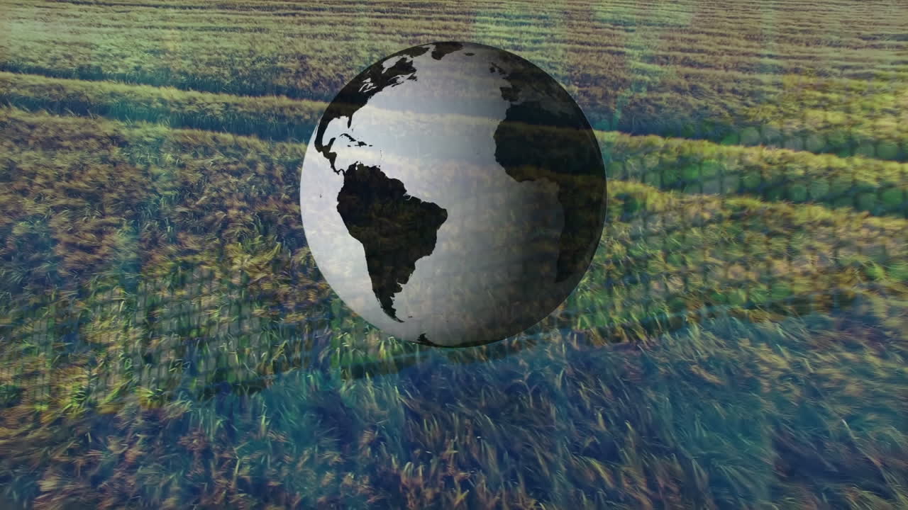 анимация глобальной и финансовой обработки данных по сельскому хозяйству