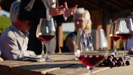 wine tasting experience at vineyard