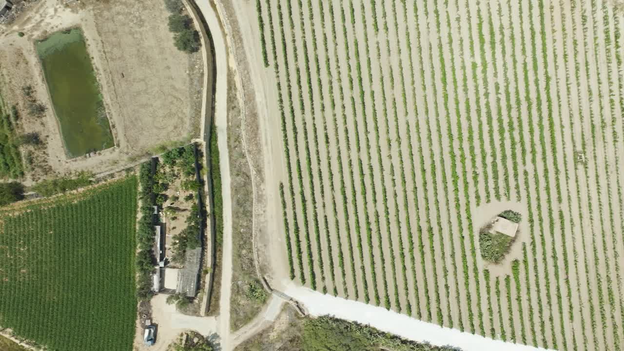 impresionantes imágenes de drones revelan una vista panorámica de tierras agrícolas, con carreteras sinuosas y parches verdes que salpican el campo