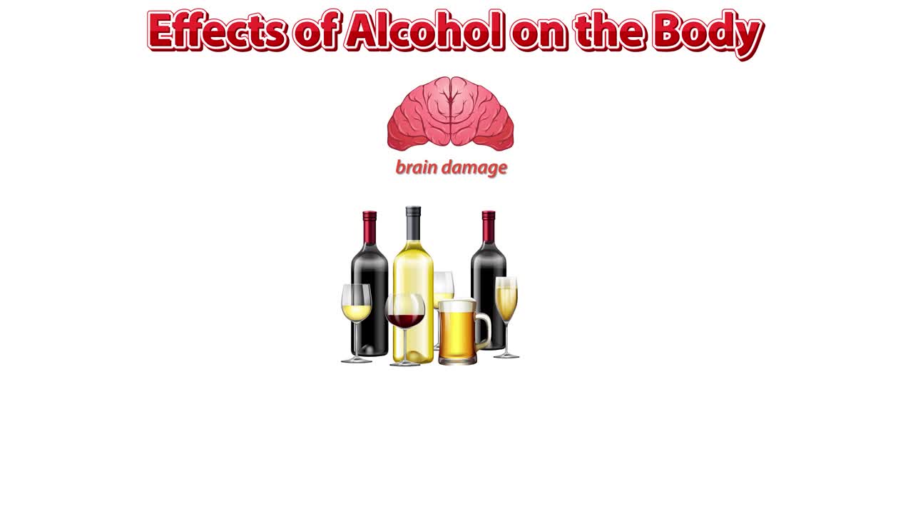 알코올의 해로운 영향에 대한 교육 애니메이션