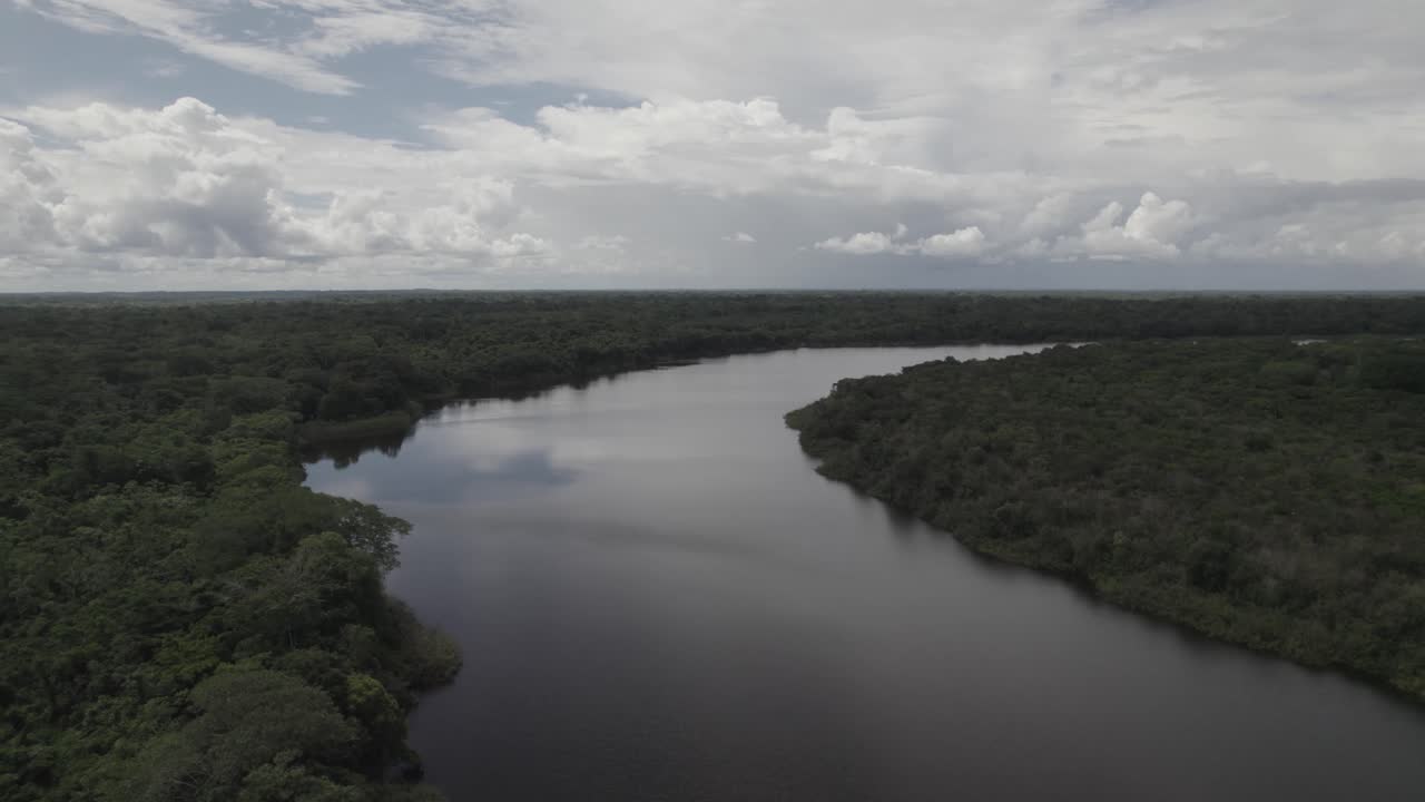 selva tropical idílica con río tranquilo en la amazonía de colombia