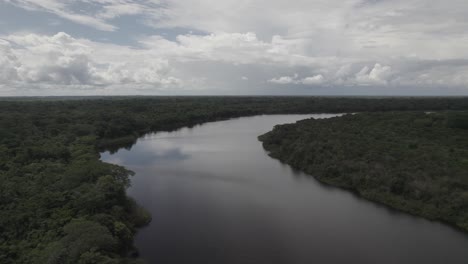 Idyllic-Tropical-Rainforest-With-Calm-River-In-The-Amazon-Of-Colombia