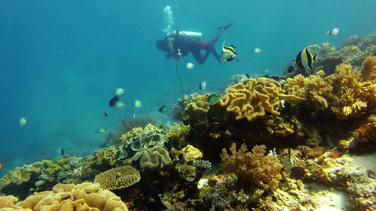 el buceo es mi terapia