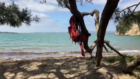 mochila colgada en la rama junto al mar