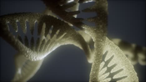 loop double helical structure of dna strand close-up animation