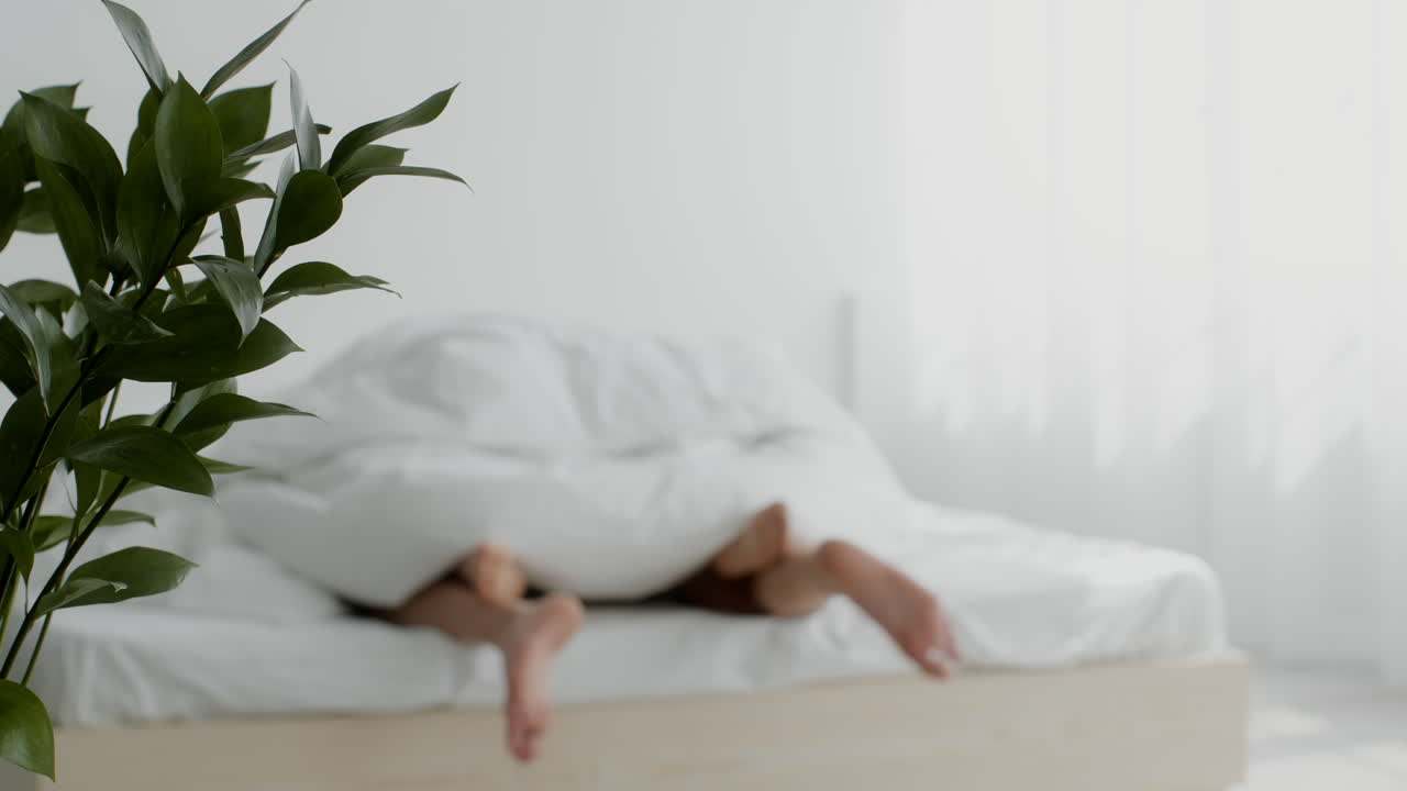 침대에 있는 커플, 아침 빛