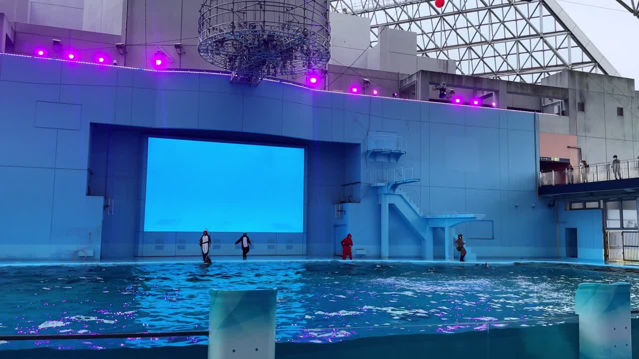 Aquarium show in Tokyo with trainers performing aquatic tricks under colorful lights
