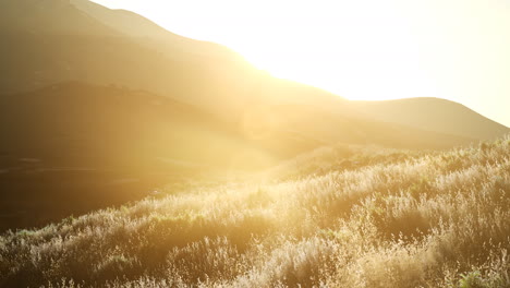 Sunset-over-the-Valley-Fields