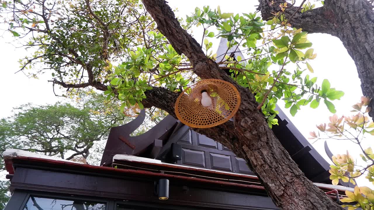 나무 가지 에 매달린 램프