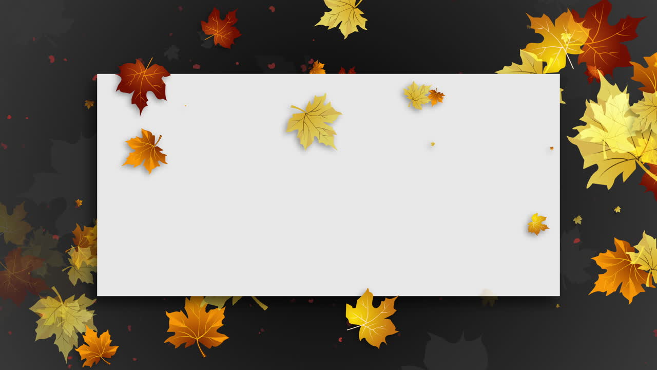 White blank sheet on autumn gray background with yellow falling maple leaves. Copy space. Looped animated festive floral frame.