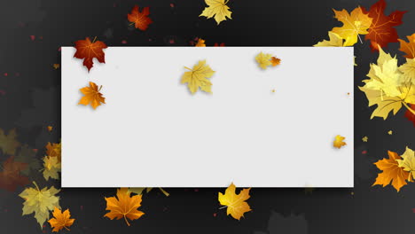 White blank sheet on autumn gray background with yellow falling maple leaves. Copy space. Looped animated festive floral frame.