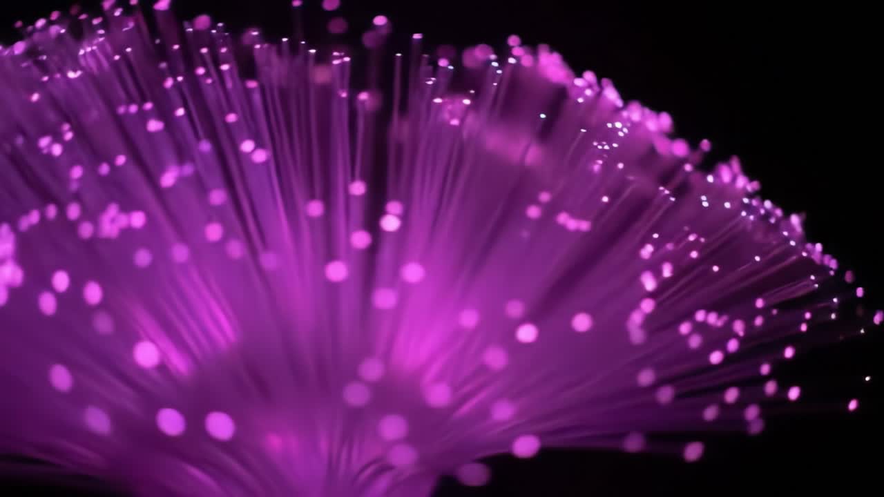A mesmerizing light performance showcases vibrant pink glowing particles floating in a dark space. The visual experience captivates viewers with its magical ambiance and intricate details.