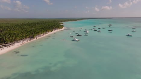 aerial ascending shot of boats moored on the coast of the dominican republic