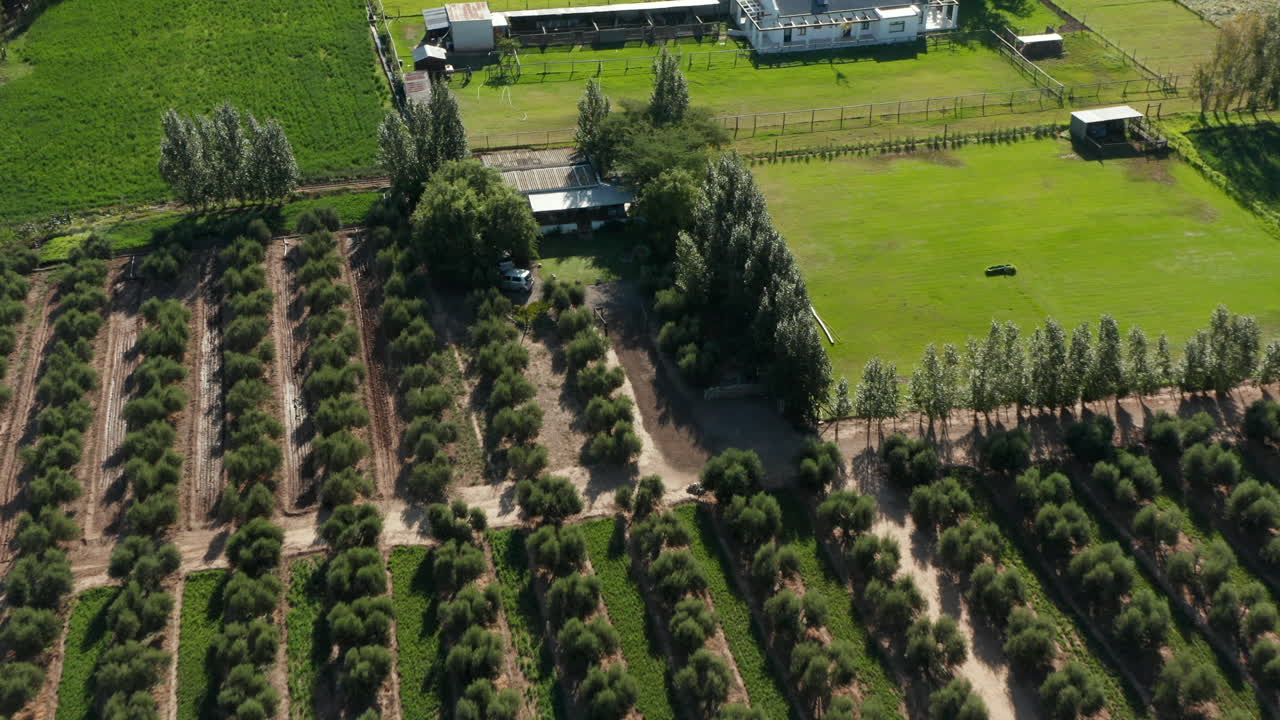 Aerial View Of Orchards And Vineyards At Constantia In Glen Alpine, Cape Town, South Africa