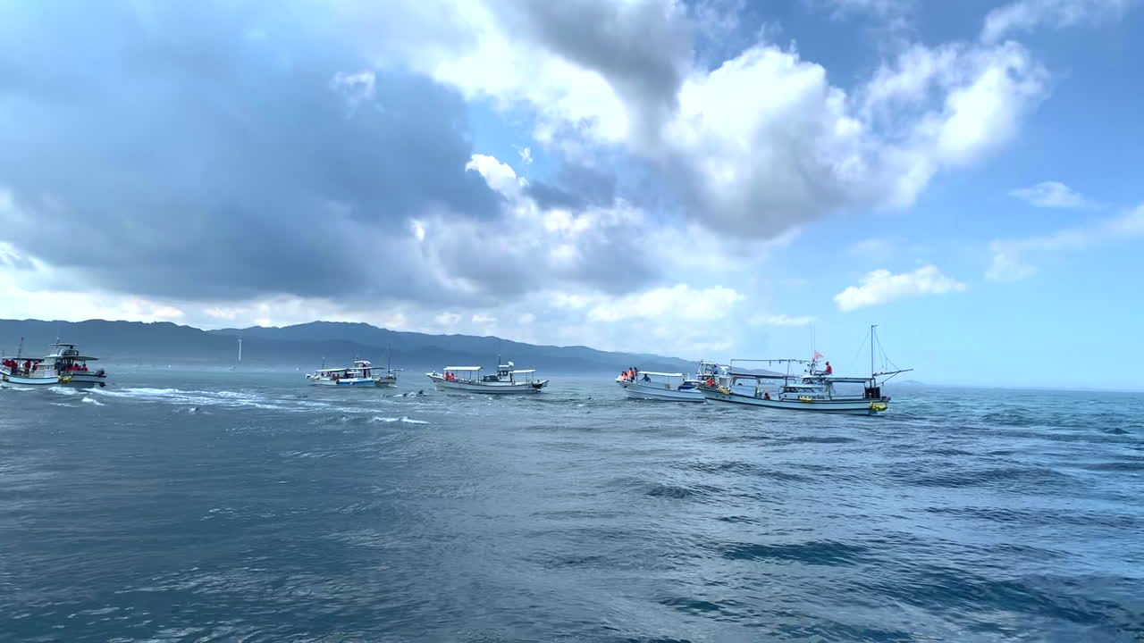 Boats with tourists on board observing around a group of dolphins swimming together in the ocean near the coast in Amakusa Dolphin Japan