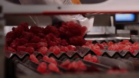 red gummy multivitamins sliding down metal grid - nutraceutical industry