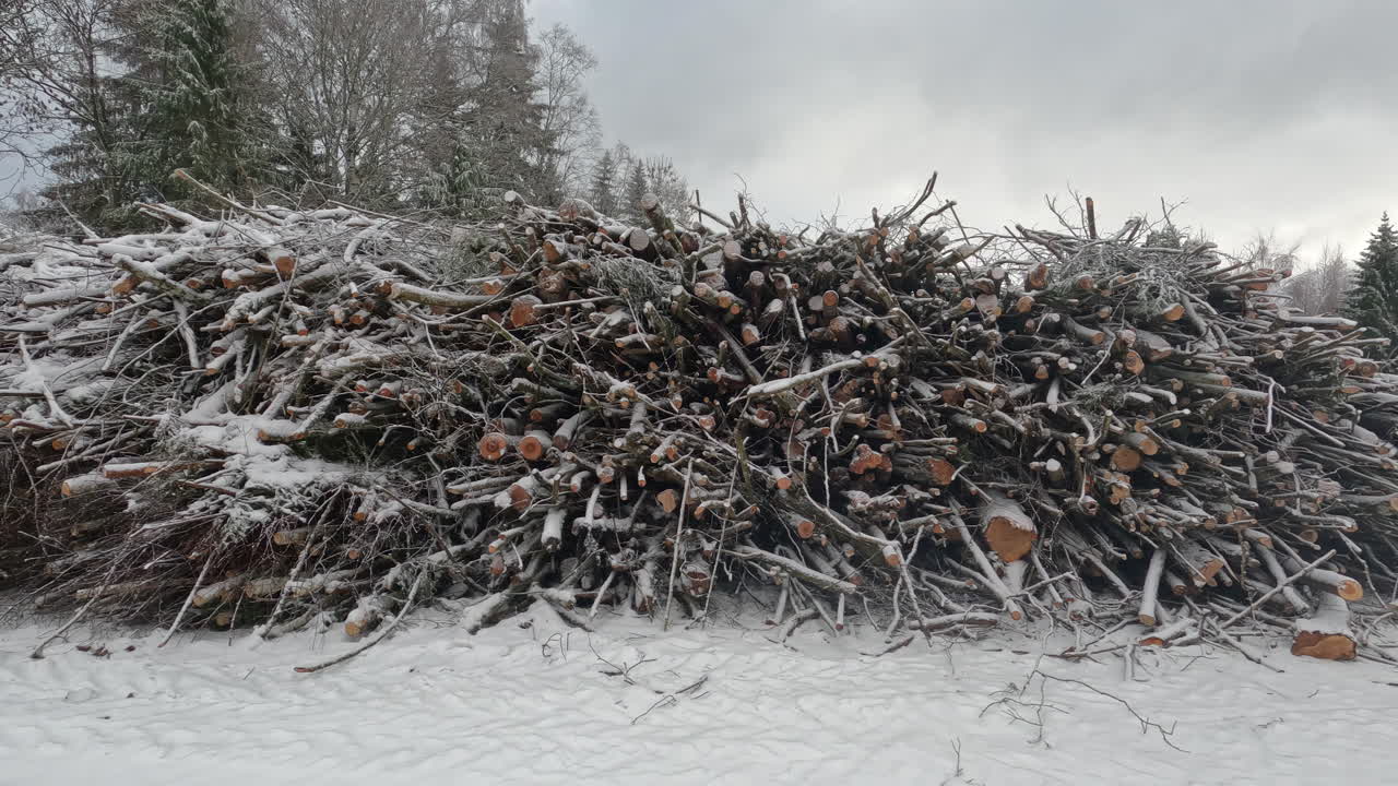 palos y troncos apilados para leña durante un día de invierno nevado