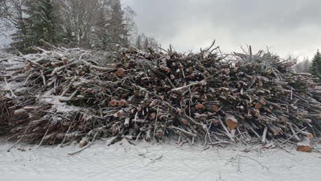 sticks and logs piled high for firewood during a snowy winter day