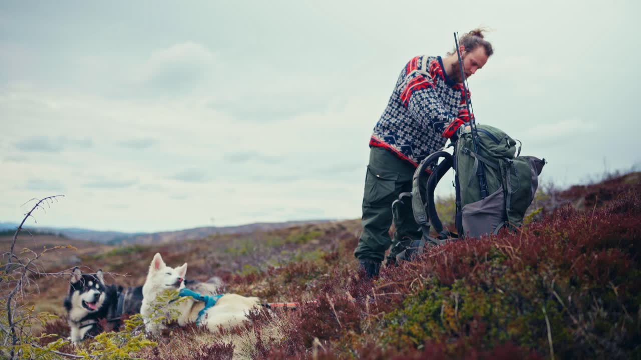 Hiker And Dogs Resting During Hike In Åfjord, Norway - Static Shot
