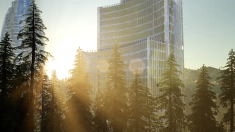 city skyline with urban skyscrapers at sunset