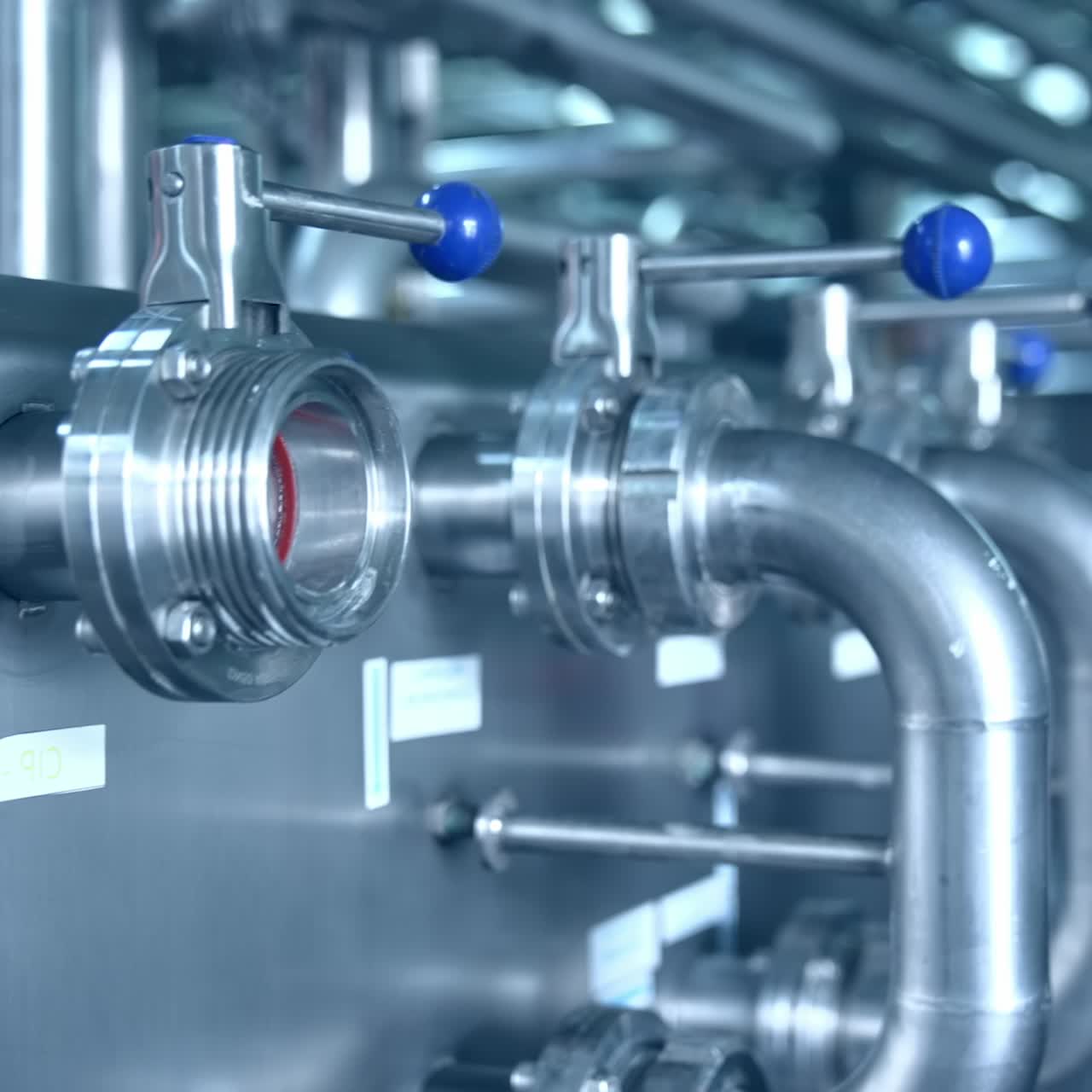 Factory for the production of milk. General view of the interior of milk factory