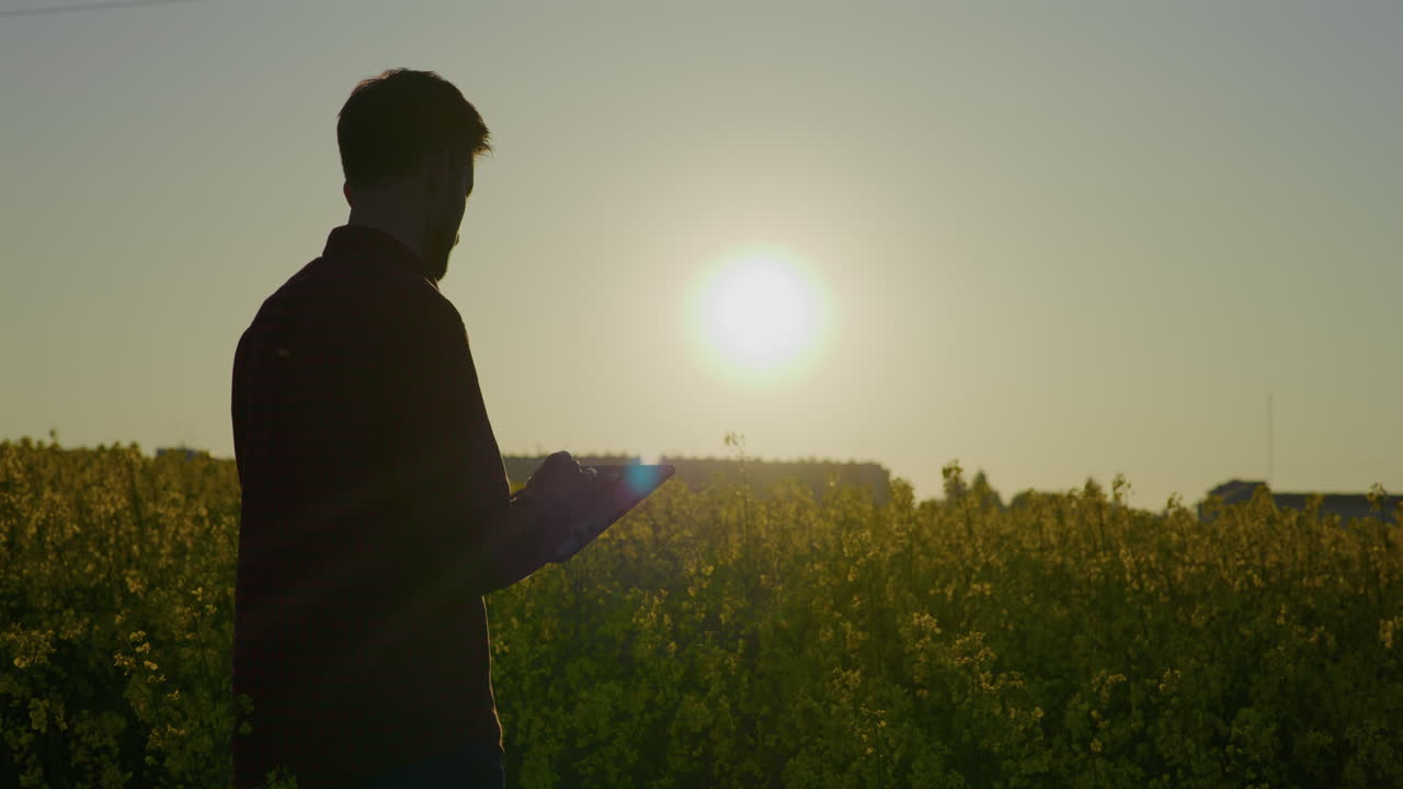 Farmer with Digital Tablet in Rapeseed Field