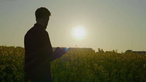 farmer with digital tablet in rapeseed field