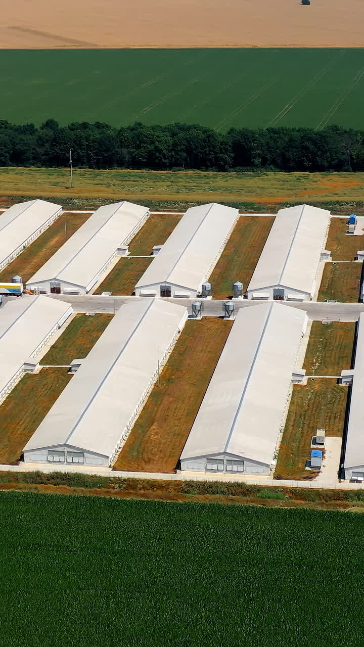 Drone view of poultry farms