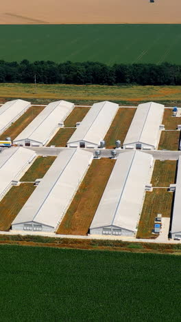 drone view of poultry farms