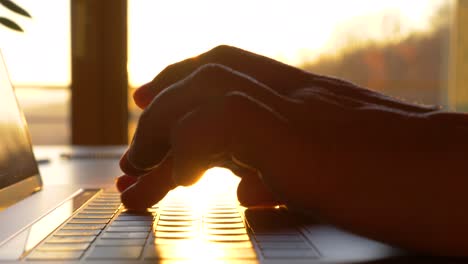 slow motion, close up: hands typing on laptop keyboard in early morning sunlight