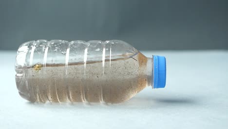 agua sucia en una botella de plástico