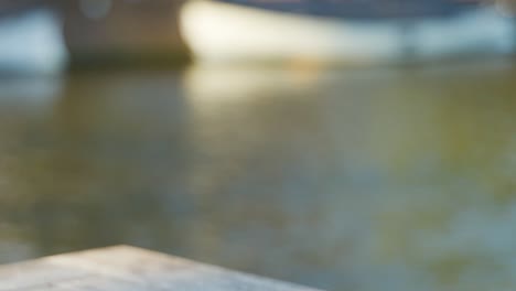 a hand with a wristwatch lifts a pint glass of pale beer from a wooden table beside a blurred river, in warm natural daylight