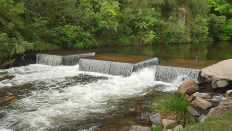 interesting weir structure in the snowy creek at mitta mitta, north-east victoria, australia. november 2021.
