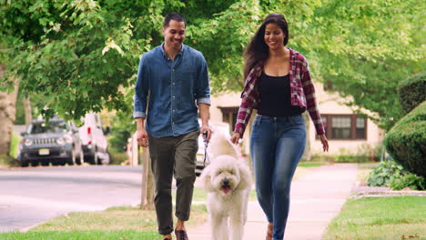 Pareja-Paseando-A-Un-Perro-Por-La-Calle-Suburbana