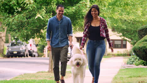 couple walking dog along suburban street