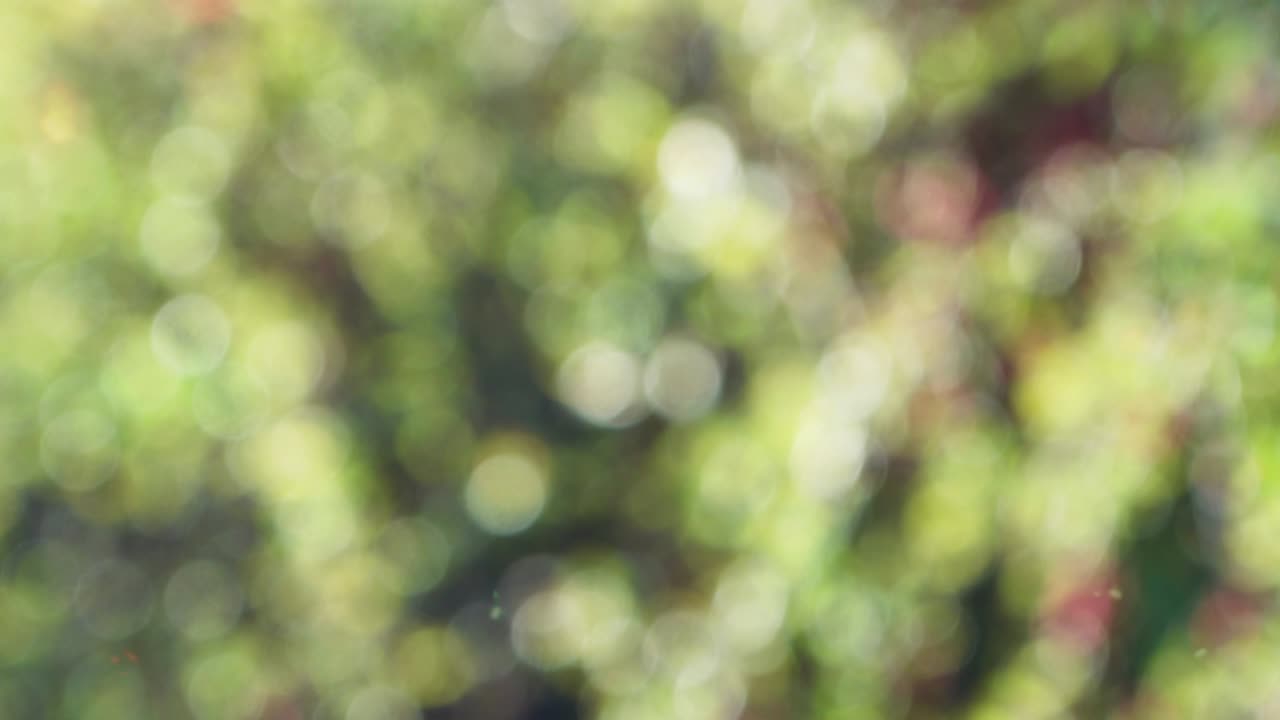 Fondo abstracto de otoño con bokeh