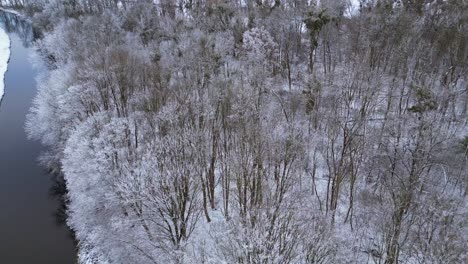 Invierno-Nieve-Río-Madera-Bosque-Cielo-Nublado-Alemania