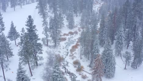 imágenes aéreas de 4k del parque nacional secoya cubierto de nieve 13