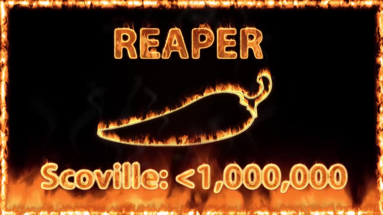 Contorno de pimenta ardente e texto 'reaper' cintilam com chamas intensas em fundo preto